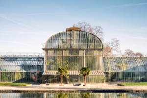 Botanische Gärten in Deutschland als Reiseziel - die Top ...